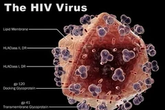 Ảnh minh họa. (Nguồn: personal.psu.edu)