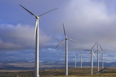 Ảnh minh họa. (Nguồn: vi.bk-idse.com)