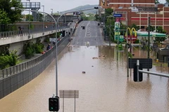 Ảnh minh họa (Nguồn: Internet)