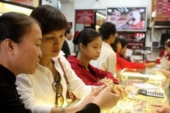 Ảnh minh họa. (Ảnh: Trần Việt/TTXVN).