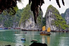 Vịnh Hạ Long. (Ảnh: Nguyễn Đán/TTXVN)