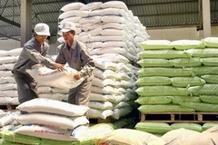 (Ảnh minh họa: Minh Đông/TTXVN)