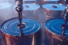 Ảnh minh họa (Nguồn: Internet)