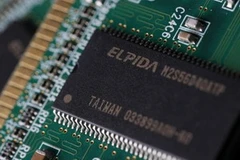 Ảnh minh họa (Nguồn: Internet)