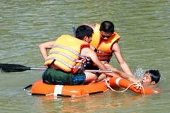 Ảnh minh họa. (Nguồn: TTXVN)