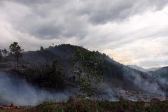 Đám cháy cơ bản được khống chế. (Ảnh: Trần Lê Lâm/TTXVN).