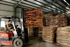 (Ảnh minh họa: Thanh Hà/TTXVN)