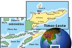 Ảnh minh họa (Nguồn: Internet)