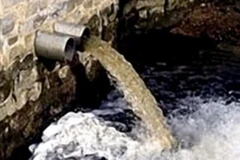 Ảnh minh họa. (Nguồn: Internet)