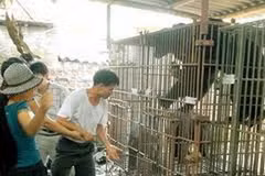 Gấu nuôi nhốt ở Quảng Ninh.(Ảnh: Nguyễn Đán/TTXVN)