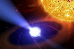 Ảnh minh họa (Nguồn: Internet)