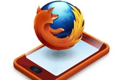 Ảnh minh họa (Nguồn: Internet)