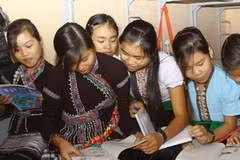 Ảnh minh họa. (Ảnh: Bích Ngọc/TTXVN)