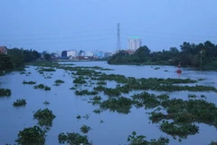 Sự lan rộng nhanh chóng của lục bình sẽ đe dọa nghiêm trọng đến giao thông đường thủy (Nguồn: Internet)