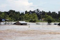 Nước lũ dâng cao ngập mái nhà tại huyện Hồng Ngự (Đồng Tháp). Ảnh minh họa. (Nguồn: TTXVN)