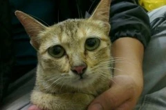 Ảnh minh họa. (Quỳnh Trang/Vietnam+)