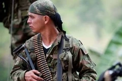 Quân du kích của FARC. (Nguồn: AFP)