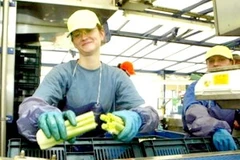 Ảnh minh họa. (Nguồn: dailymail.co.uk)