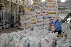 Ảnh minh họa. (Ảnh: Đình Huệ/TTXVN)