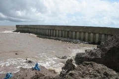 Ảnh minh họa. (Ảnh: Huỳnh Sử/TTXVN)