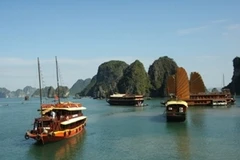 Tàu du lịch trên Vịnh Hạ Long. (Ảnh: Tiến Dũng/TTXVN)