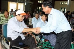 (Ảnh minh họa: Hữu Việt/TTXVN)