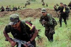 Lực lượng Vũ trang Cách mạng Colombia (FARC). (Nguồn: AP)