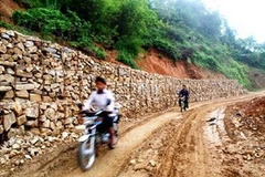 Ảnh minh họa (Nguồn: Internet)