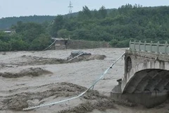 Ảnh minh họa. (Nguồn: THX/TTXVN) 