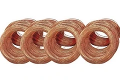 Ảnh minh họa (Nguồn: Internet)