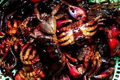 Ba khía Cà Mau. (Nguồn: haisancamau.vn)