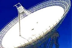 Ảnh minh họa (Nguồn: Internet)