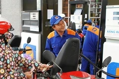 Ảnh minh họa (Ảnh: Minh Tú/TTXVN)