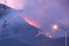 Cháy rừng đặc dụng Nam Hải Vân, Đà Nắng. Ảnh minh họa (Ảnh: Trần Lê Lâm/TTXVN)