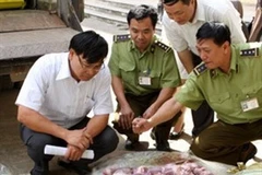 Ảnh minh họa. (Nguồn: TTXVN).