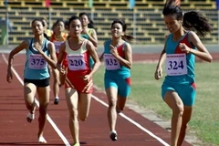 Ảnh minh họa. (Ảnh: Duy Khương/TTXVN)