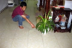 Ảnh minh họa (Nguồn: Internet)