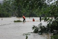 Ảnh minh họa. (Nguồn: TTXVN)