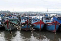 Tàu thuyền neo đậu tránh bão tại cửa biển Sa Kỳ, Quảng Ngãi. Ảnh minh họa. (Ảnh: Thanh Long/TTXVN)