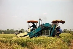 Ảnh minh họa. (Ảnh: Minh Trí/TTXVN).