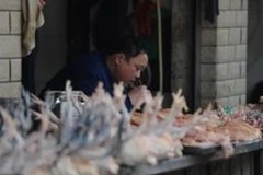 Bán gia cầm ở Trung Quốc. Ảnh minh họa. (Nguồn: AFP)
