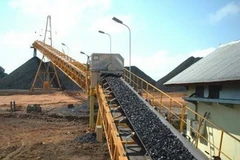 Ảnh minh họa (Nguồn: Internet)