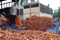 Xuất khẩu vải tươi sang thị trường Trung Quốc Ảnh minh họa (Nguồn: Internet)