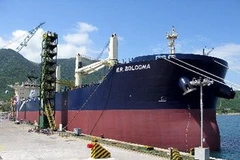 Một tàu mà Hyundai Vinashin đã bàn giao. Ảnh minh họa. (Ảnh: Bá Hưng/TTXVN)