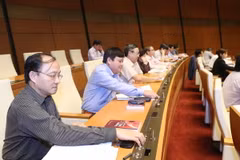Đại biểu Quốc hội tiến hành biểu quyết dự án Luật kế toán (sửa đổi). (Ảnh: Phương Hoa/TTXVN)