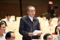 Linh mục Lê Ngọc Hoàn, Đại biểu Quốc hội tỉnh Nam Định phát biểu ý kiến. (Ảnh: Phương Hoa/TTXVN)