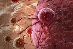 Ảnh chỉ có tính minh họa. (Nguồn: prime.sg)