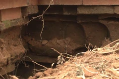 Chân tháp Bánh Ít bị hổng sâu, nguy cơ sụt lún là rất cao nếu không kịp thời bảo vệ. (Ảnh: TTXVN phát)