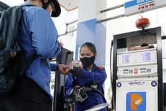 Mua bán xăng dầu tại một điểm bán kinh doanh xăng, dầu trên địa bàn Hà Nội. (Ảnh: Trần Việt/TTXVN)