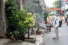 Phun hóa chất diệt muỗi khu vực có người mắc sốt xuất huyết. (Ảnh: Nguyễn Chinh/TTXVN)